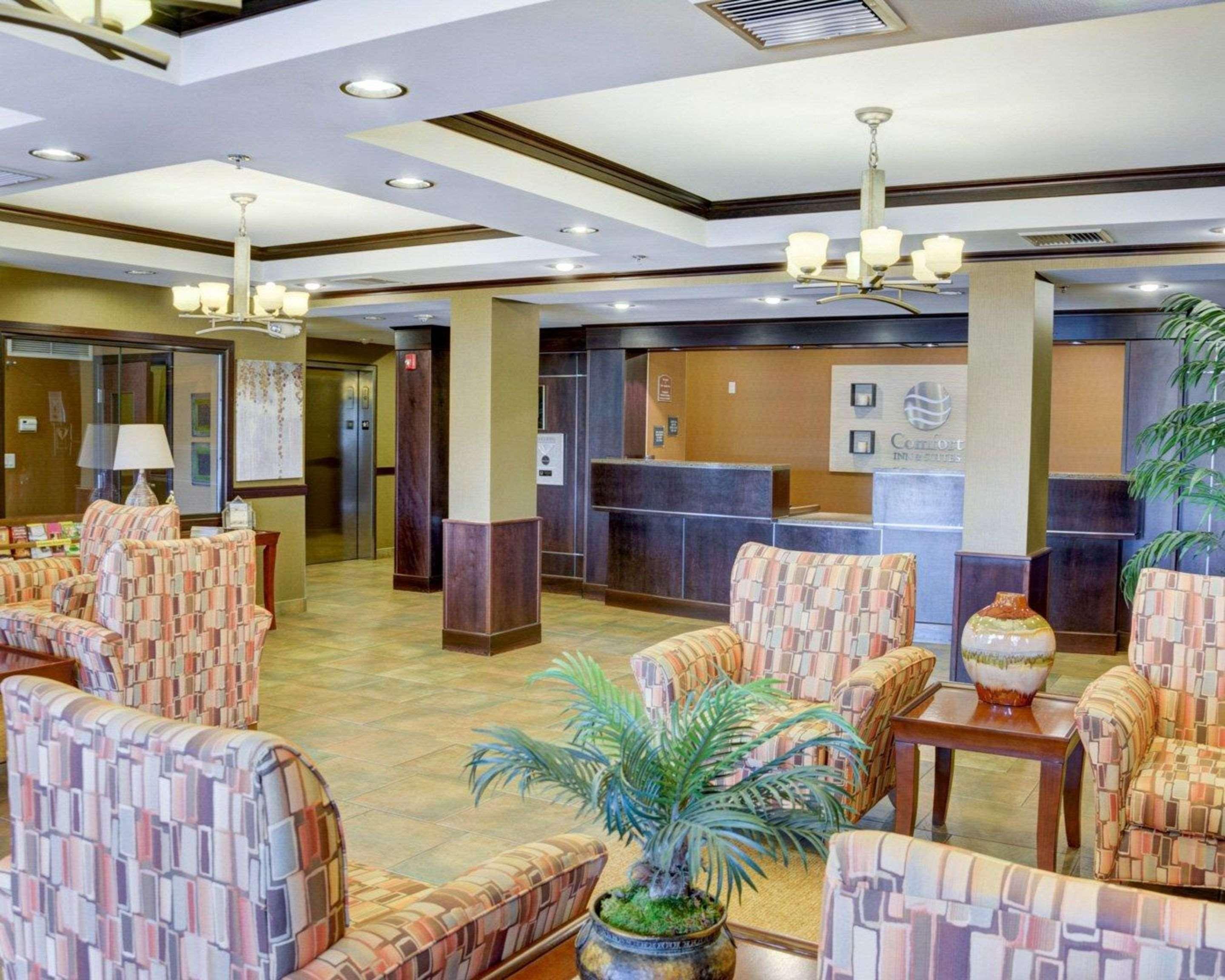 Comfort Inn & Suites Russellville I-40 Buitenkant foto